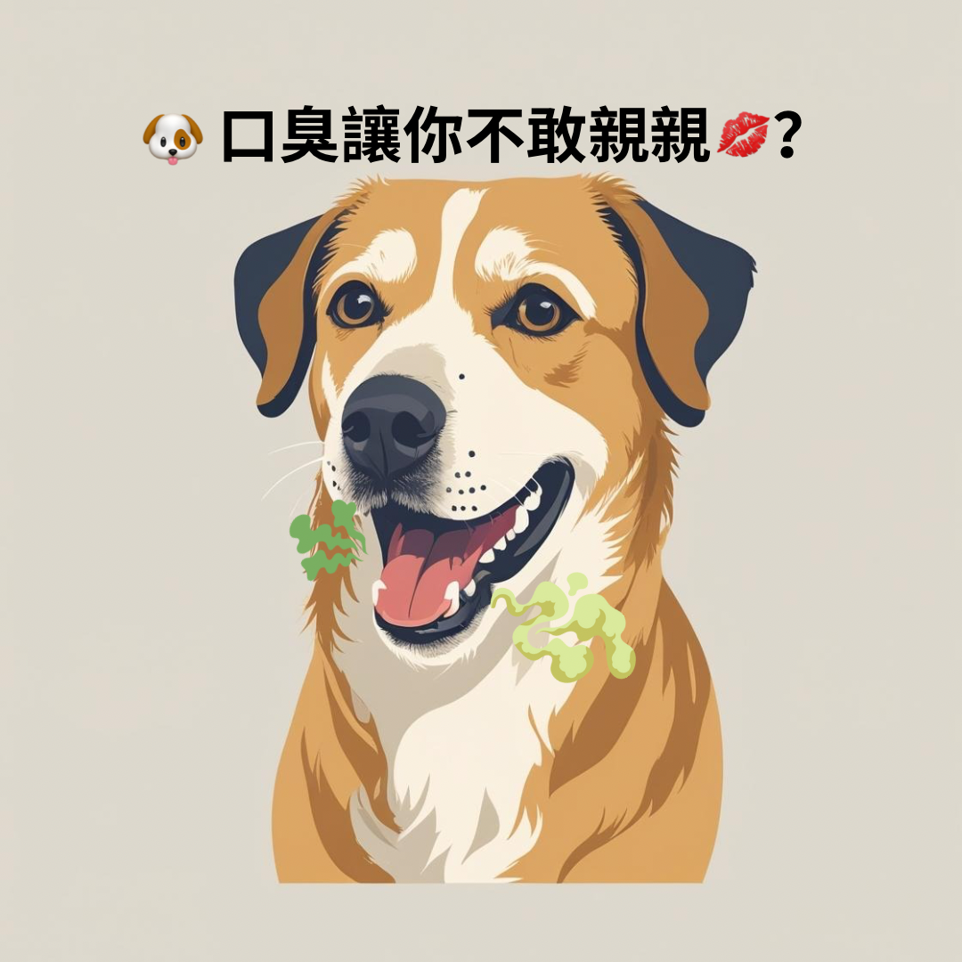 🐶🐶口臭難頂?原因與解決方法