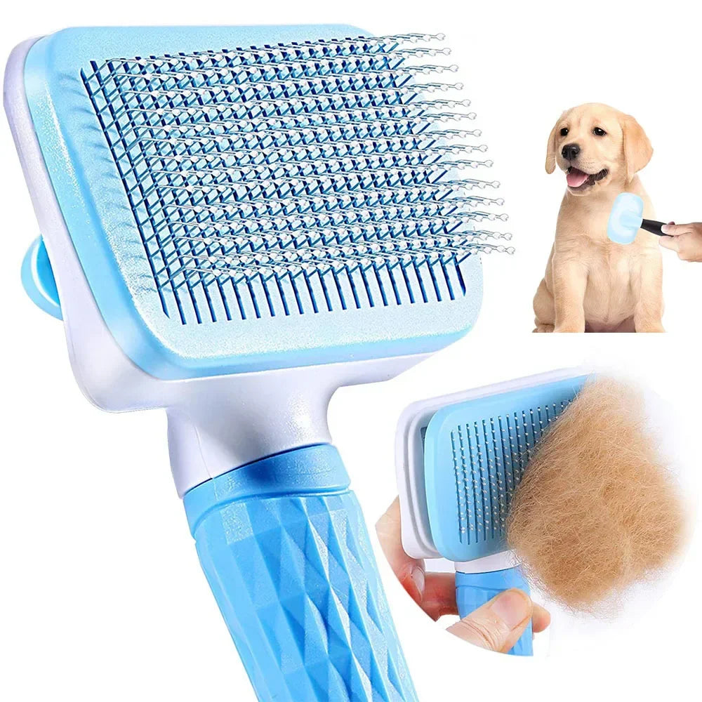 狗 毛孩護理用品