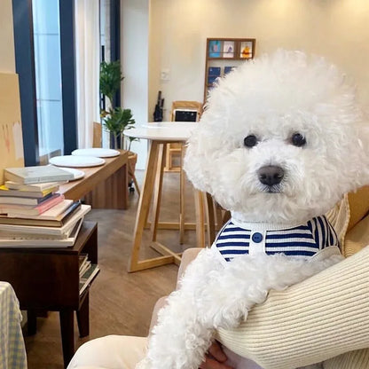 時尚條紋寵物背心 - 小型犬貓夏季服裝，柔軟舒適比熊吉娃娃專屬造型