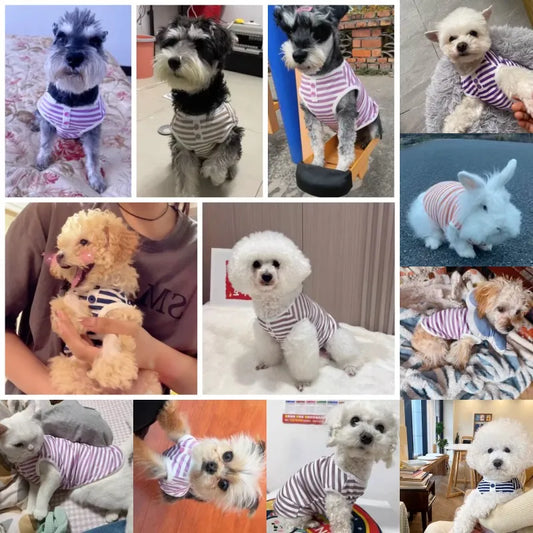 時尚條紋寵物背心 - 小型犬貓夏季服裝，柔軟舒適比熊吉娃娃專屬造型